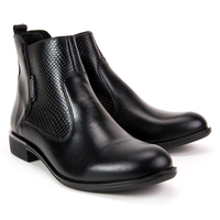 Ankle Boots Filippo 438s Czar Wyt
