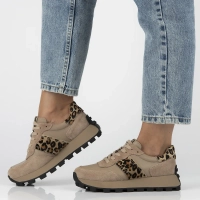 Leather sneakers Filippo DP7112/25 BE LEO brown