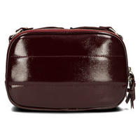 Handbag Filippo Messenger Bag TD0226/22 BG burgundy