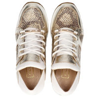 Shoes Filippo 460 Gold R2 White