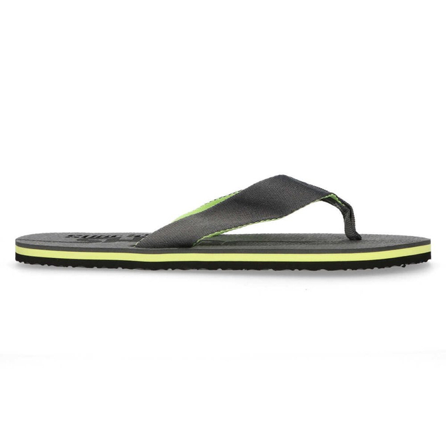 Men's Flip-flops Stila 1607 Grey/Green