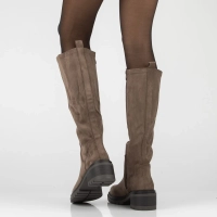 Heeled boots Filippo DKZ8310/26 TP brown