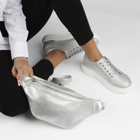 Handbag Filippo Kidney TD0004/22 SI silver