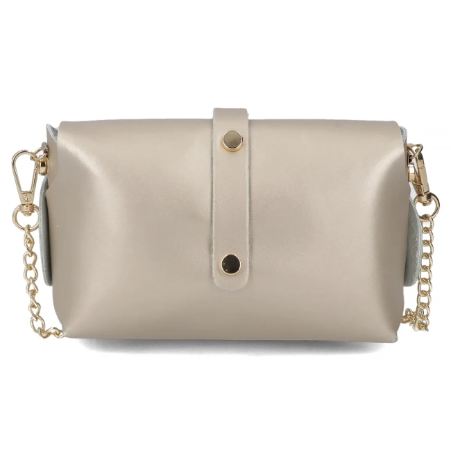 Handbag Toscanio Leather A32 gold