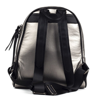 Backpack Filippo TD0118/20 Silver