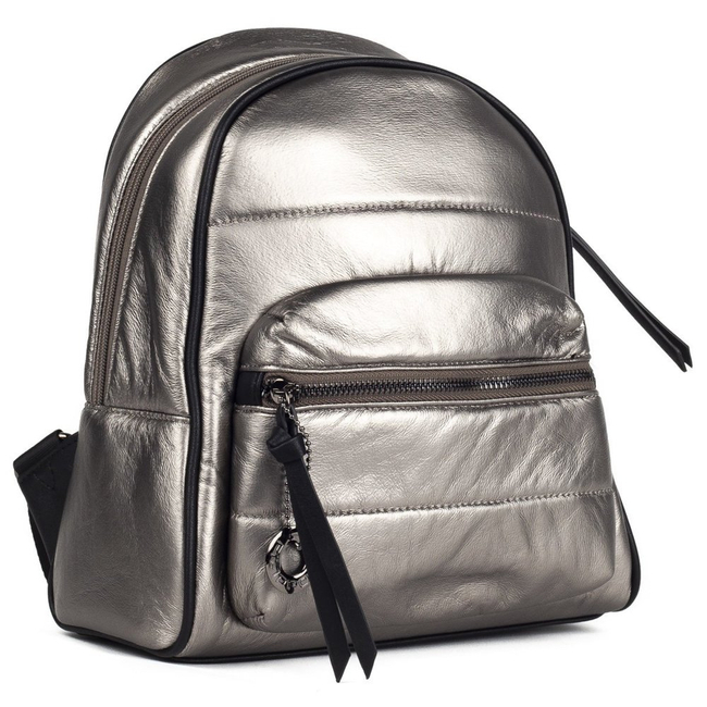 Backpack Filippo TD0118/20 Silver