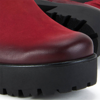 Ankle boots FILIPPO 439 S burgundy
