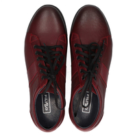 Leather shoes Filippo 2063 burgundy
