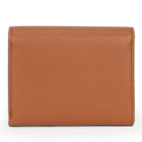Brown wallet Ohio