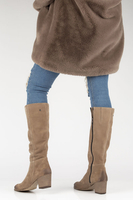 Filippo Boots 70109 velor taupe