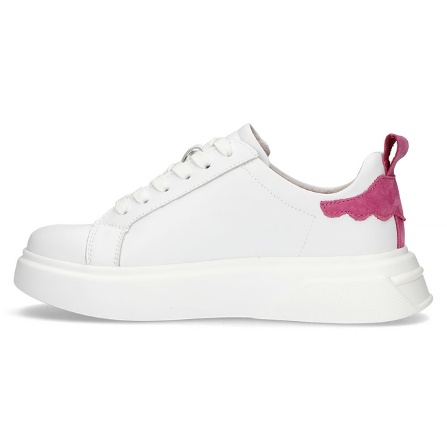 Leather Sneakers Filippo DP4580/23 WH white