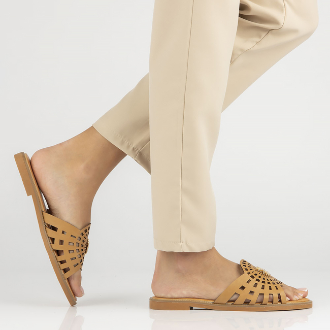 Flip-flops Filippo DK4621/23 BE brown