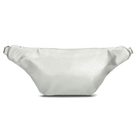 Handbag Filippo Kidney TD0004/22 SI silver