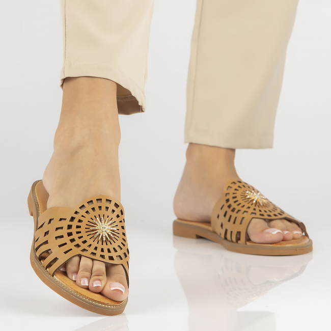 Flip-flops Filippo DK4621/23 BE brown